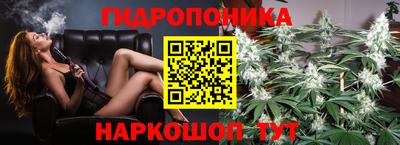 крисы Чебаркуль